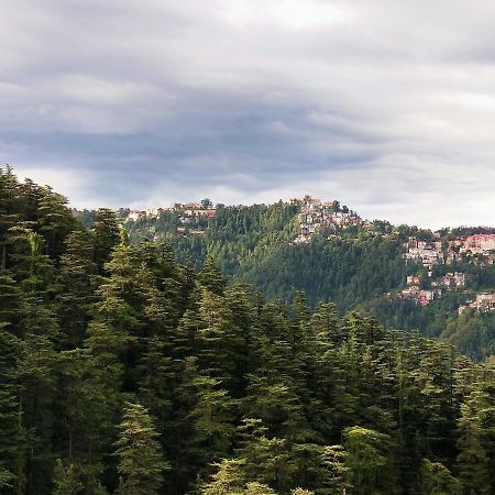 Neha Homestay Shimla Dış mekan fotoğraf