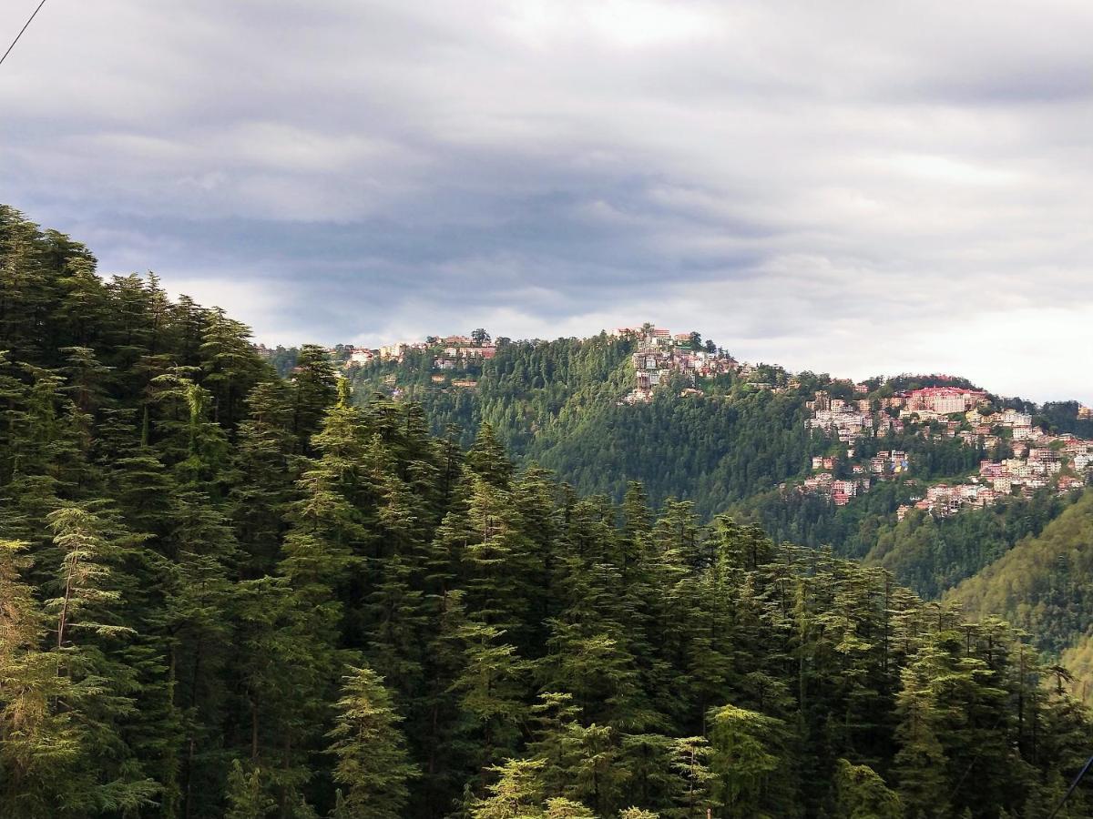 Neha Homestay Shimla Dış mekan fotoğraf