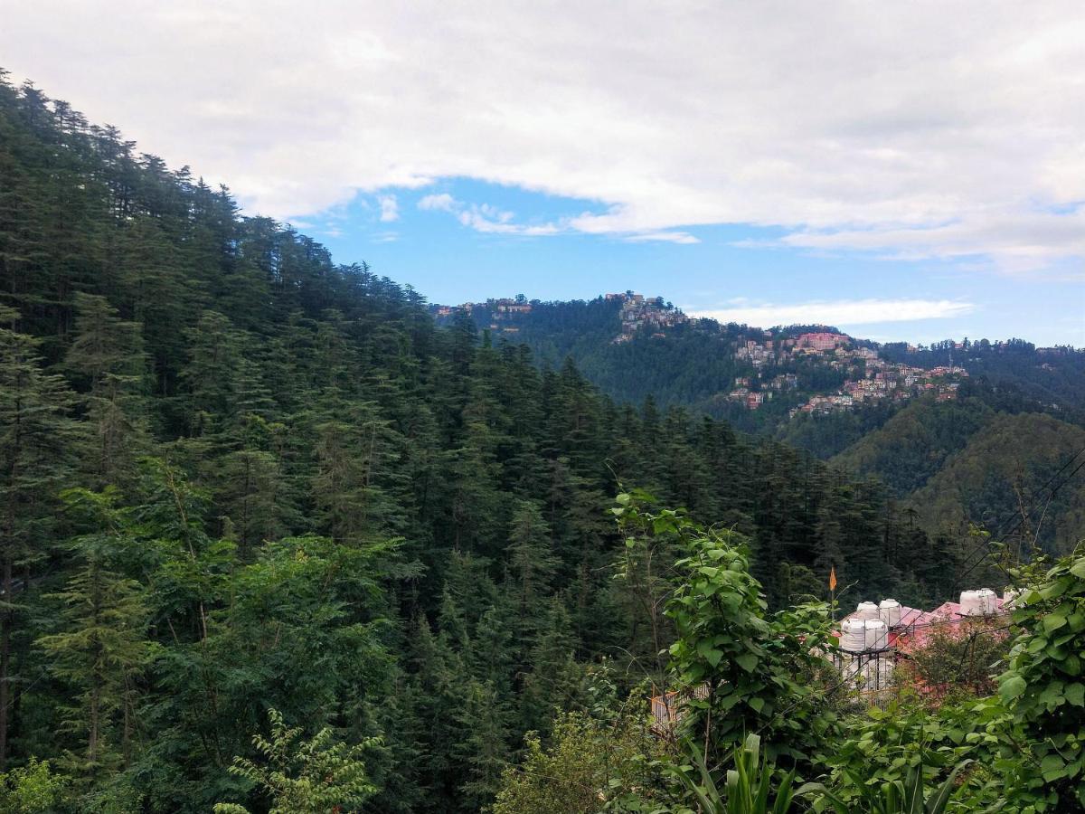 Neha Homestay Shimla Dış mekan fotoğraf