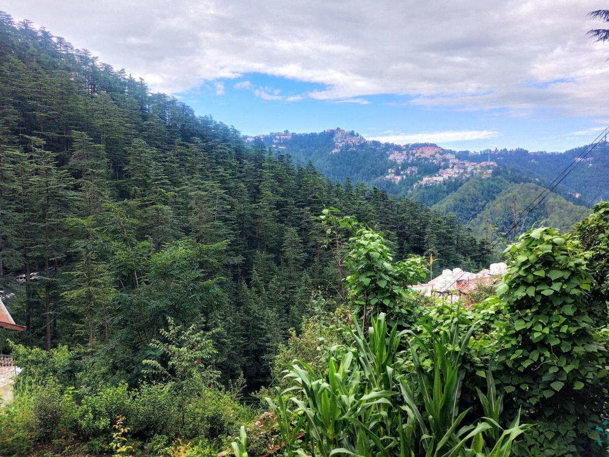 Neha Homestay Shimla Dış mekan fotoğraf