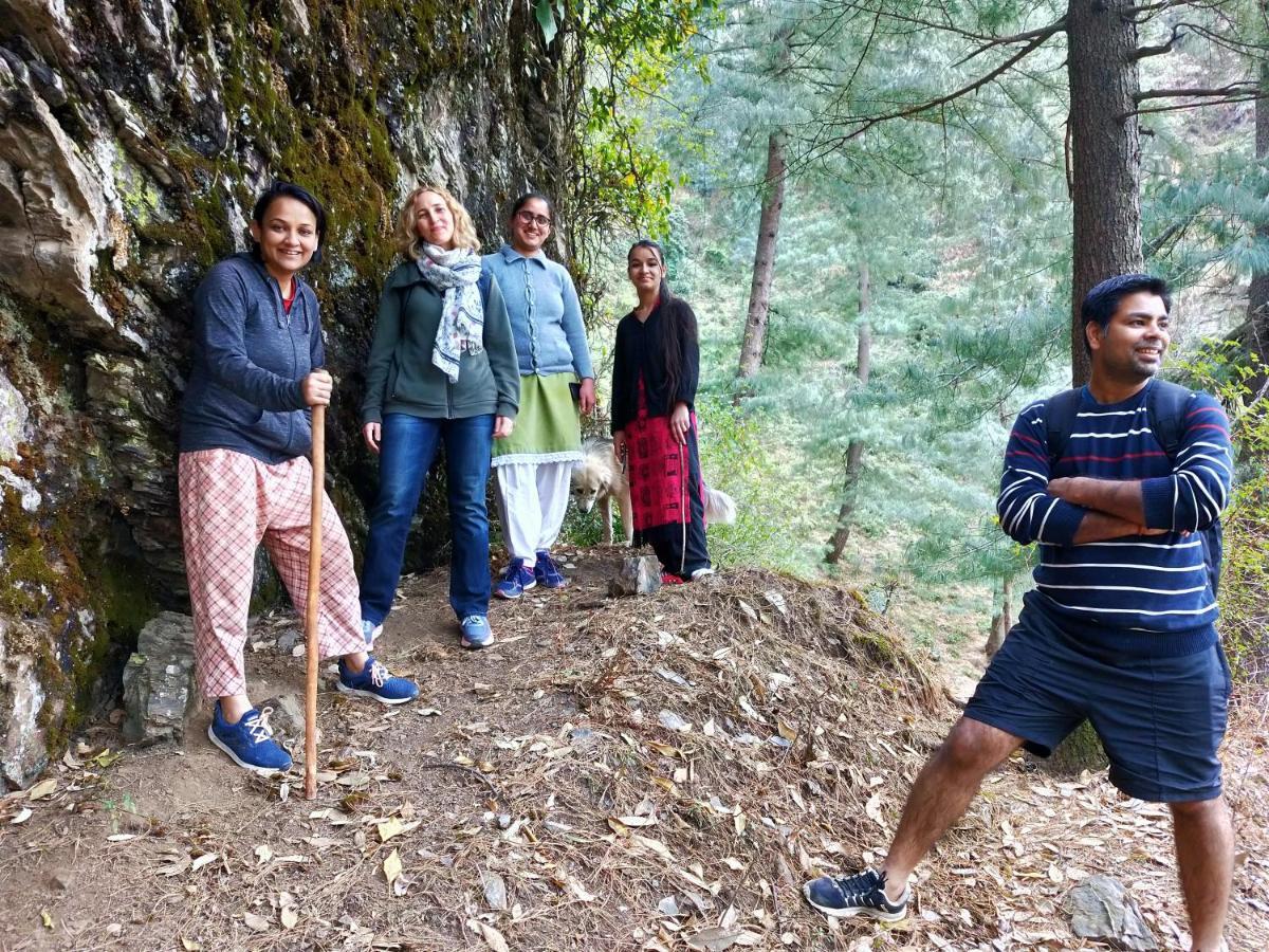 Neha Homestay Shimla Dış mekan fotoğraf