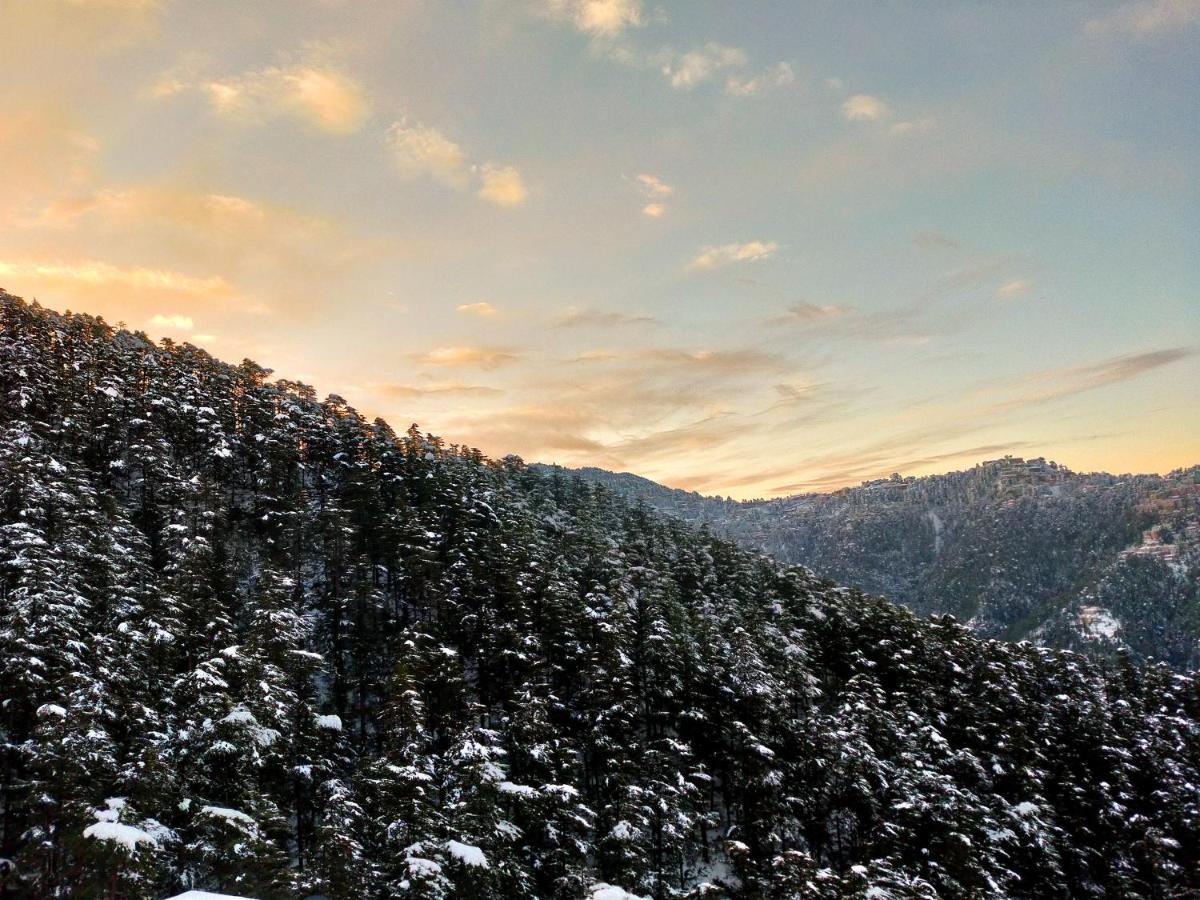 Neha Homestay Shimla Dış mekan fotoğraf