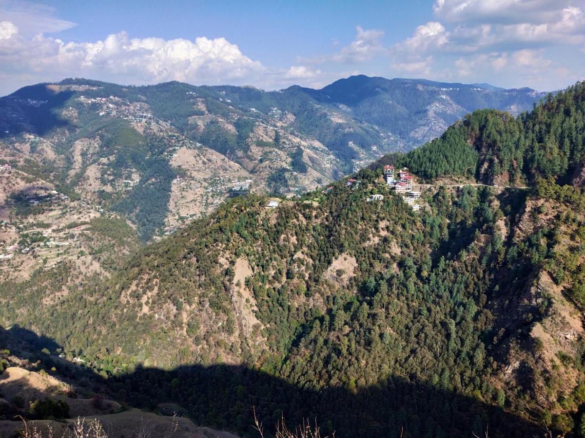 Neha Homestay Shimla Dış mekan fotoğraf