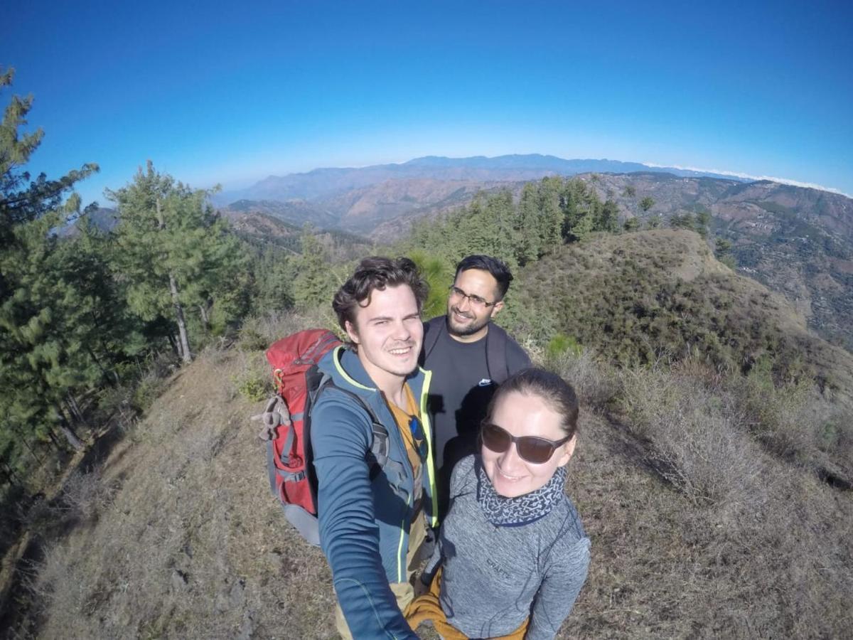 Neha Homestay Shimla Dış mekan fotoğraf