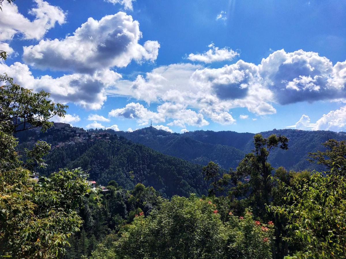 Neha Homestay Shimla Dış mekan fotoğraf