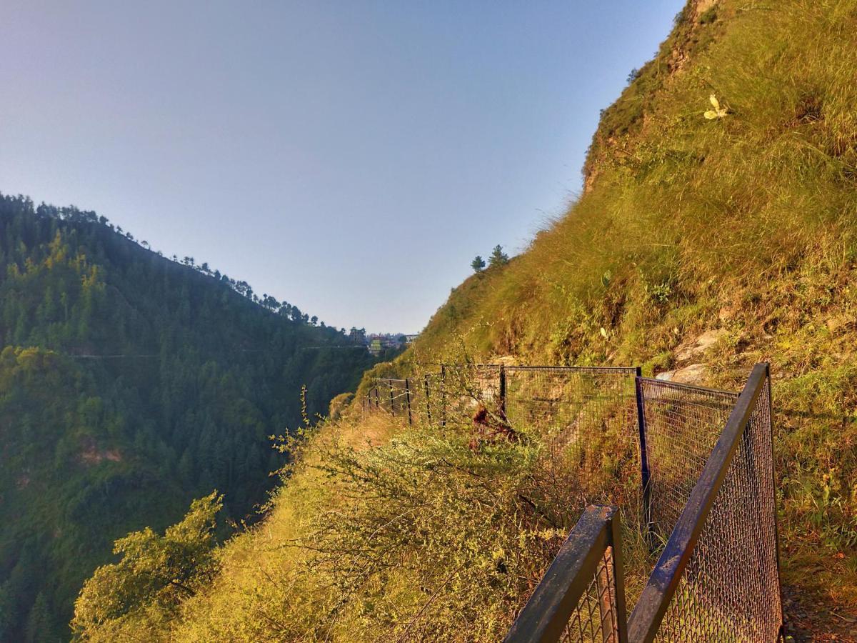 Neha Homestay Shimla Dış mekan fotoğraf