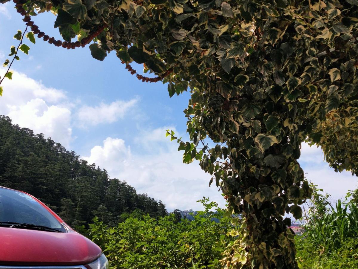 Neha Homestay Shimla Dış mekan fotoğraf