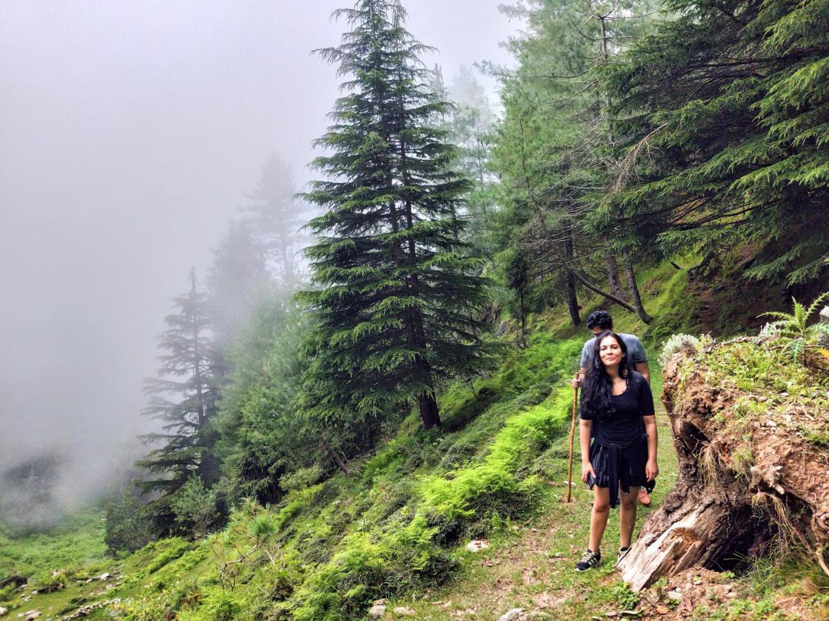 Neha Homestay Shimla Dış mekan fotoğraf