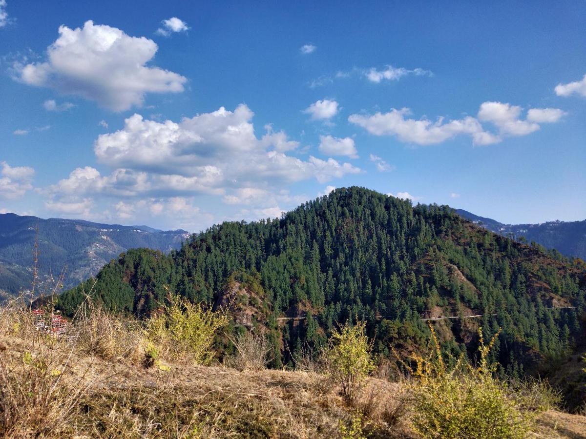Neha Homestay Shimla Dış mekan fotoğraf