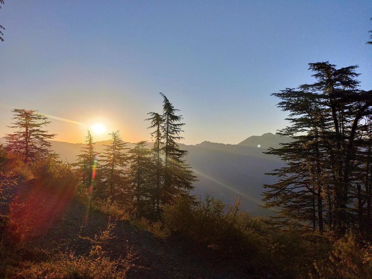 Neha Homestay Shimla Dış mekan fotoğraf