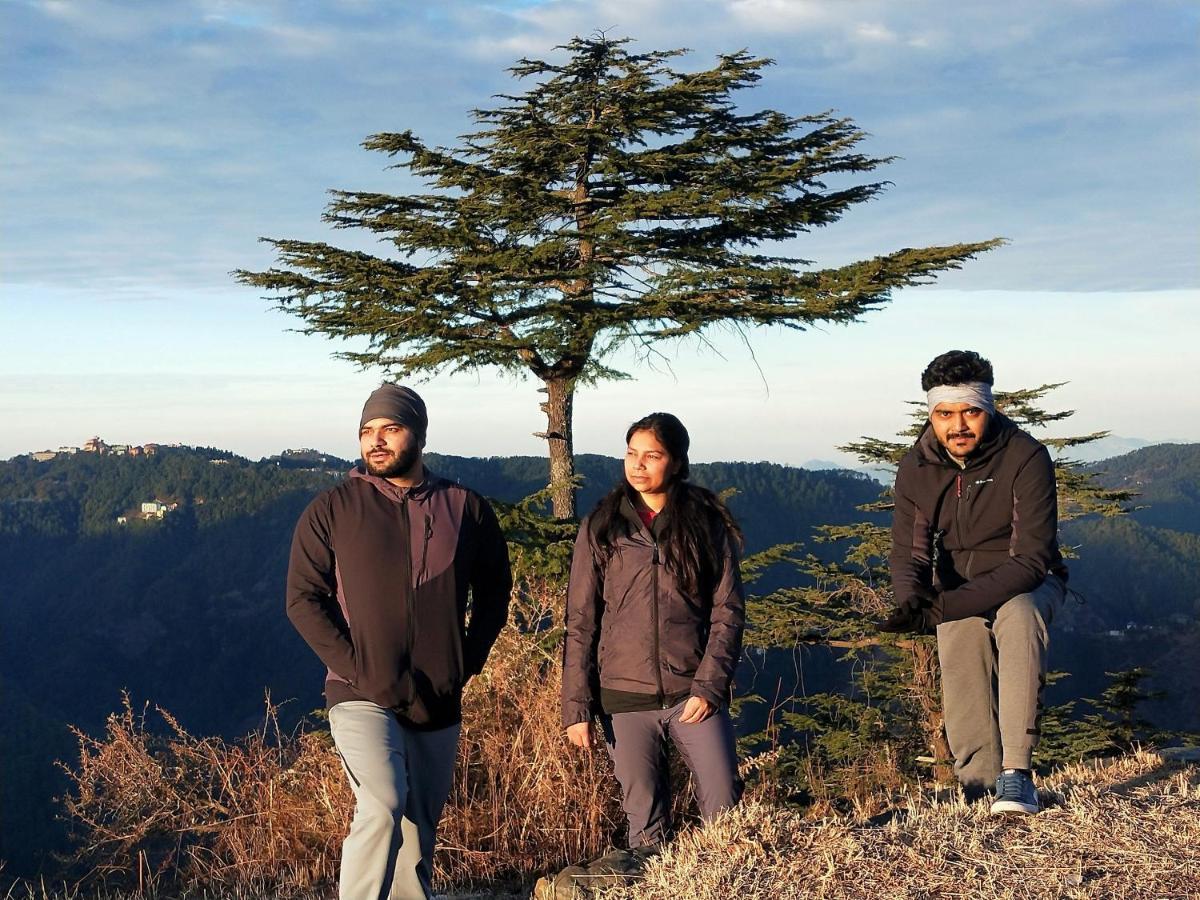 Neha Homestay Shimla Dış mekan fotoğraf