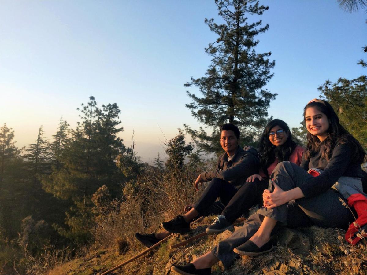Neha Homestay Shimla Dış mekan fotoğraf