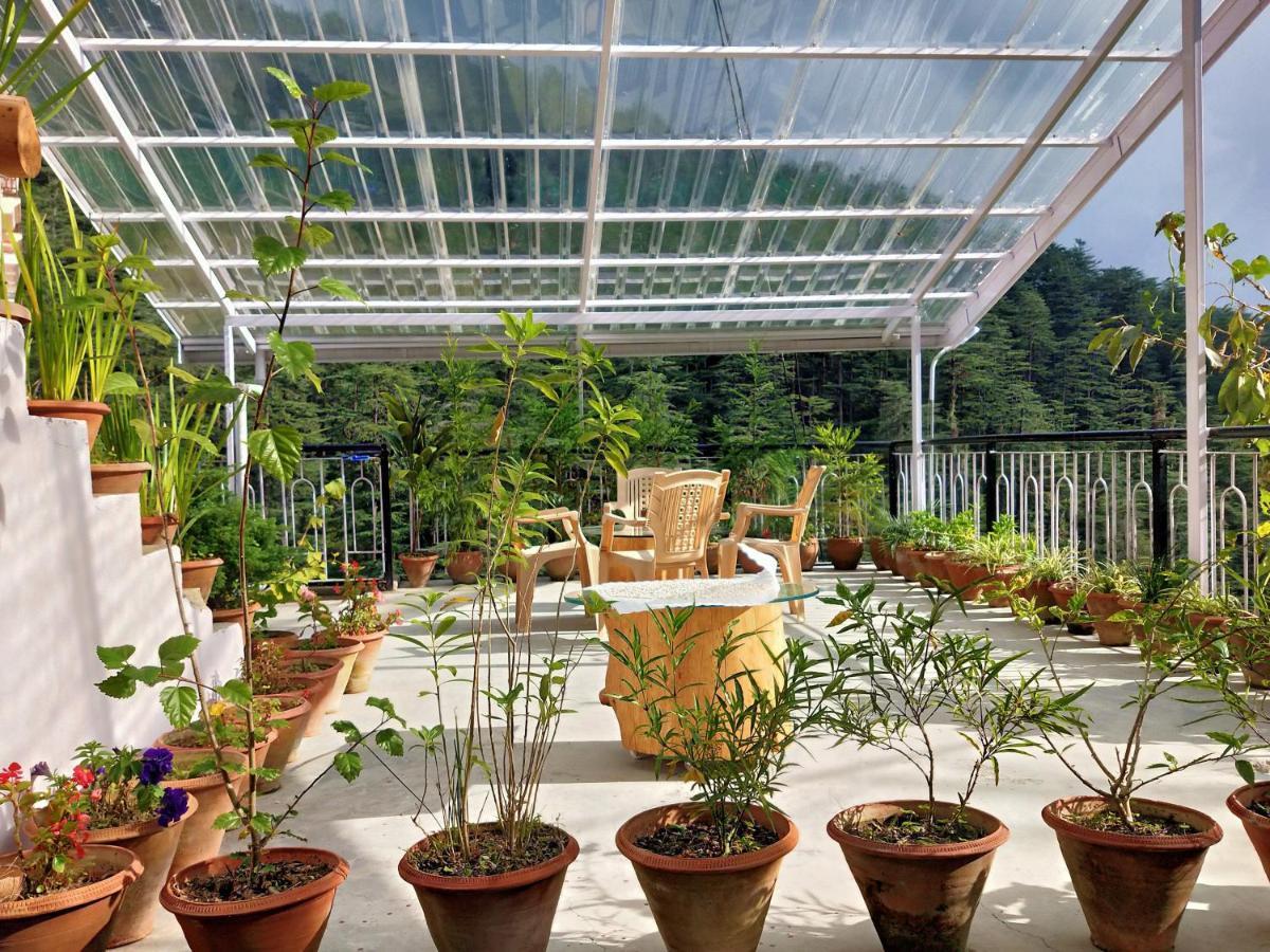 Neha Homestay Shimla Dış mekan fotoğraf