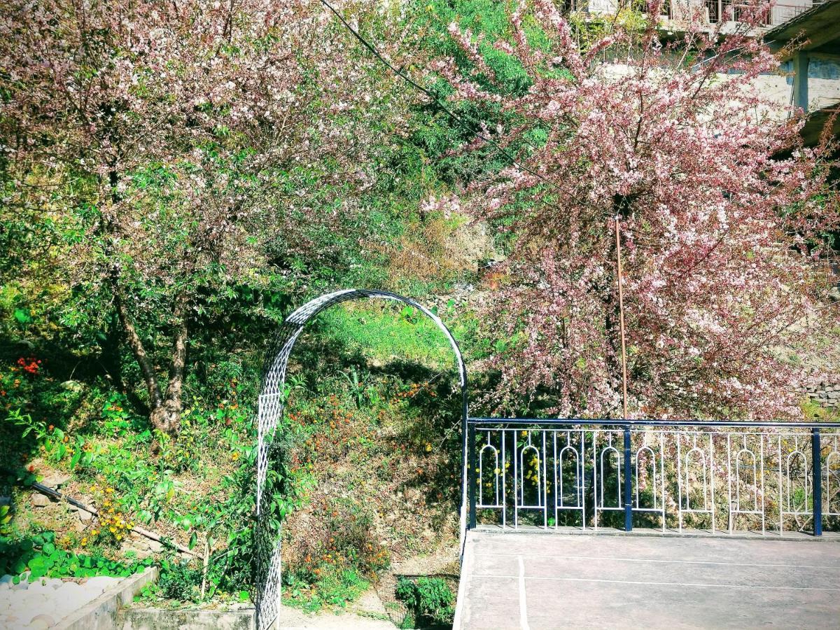 Neha Homestay Shimla Dış mekan fotoğraf