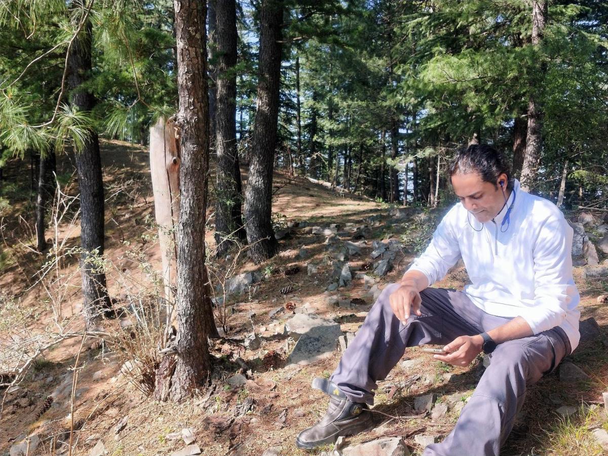 Neha Homestay Shimla Dış mekan fotoğraf