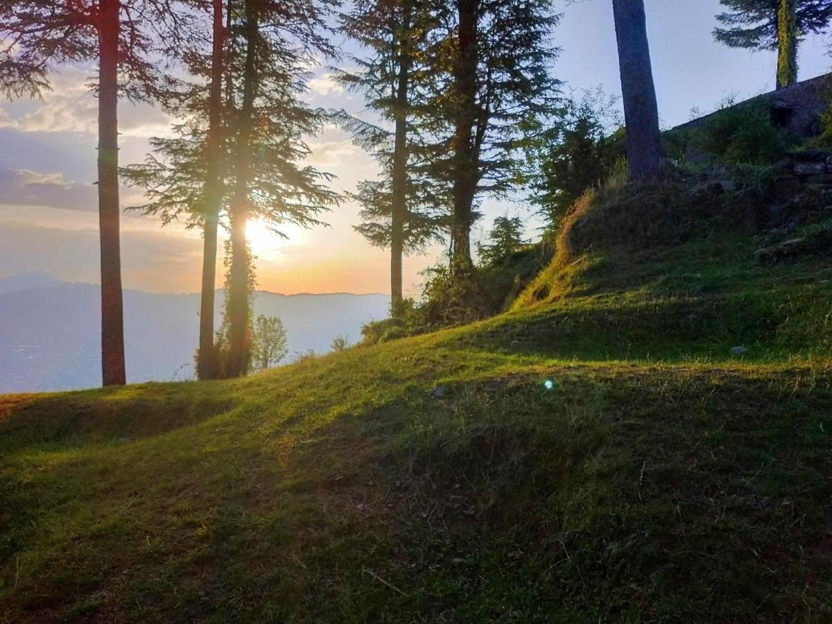 Neha Homestay Shimla Dış mekan fotoğraf
