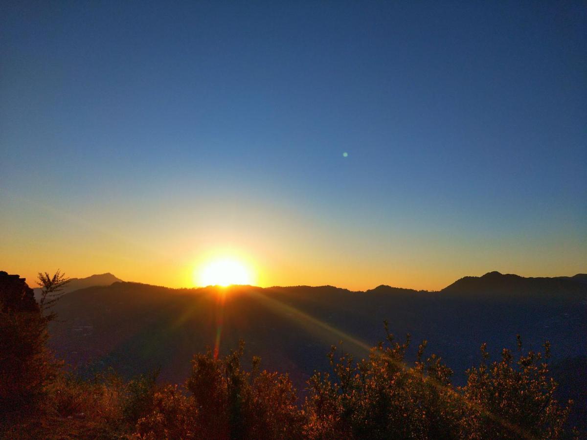 Neha Homestay Shimla Dış mekan fotoğraf