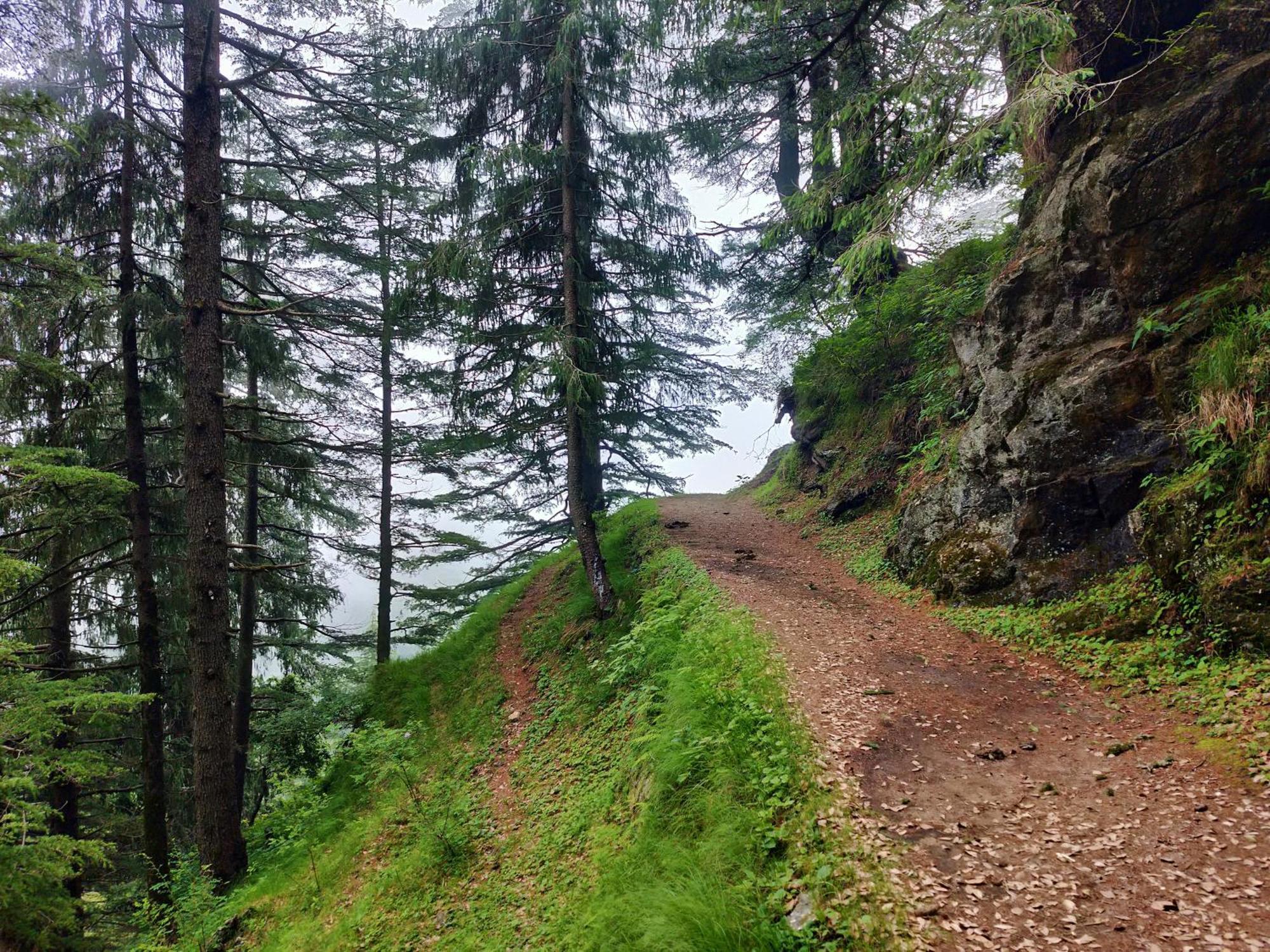Neha Homestay Shimla Dış mekan fotoğraf