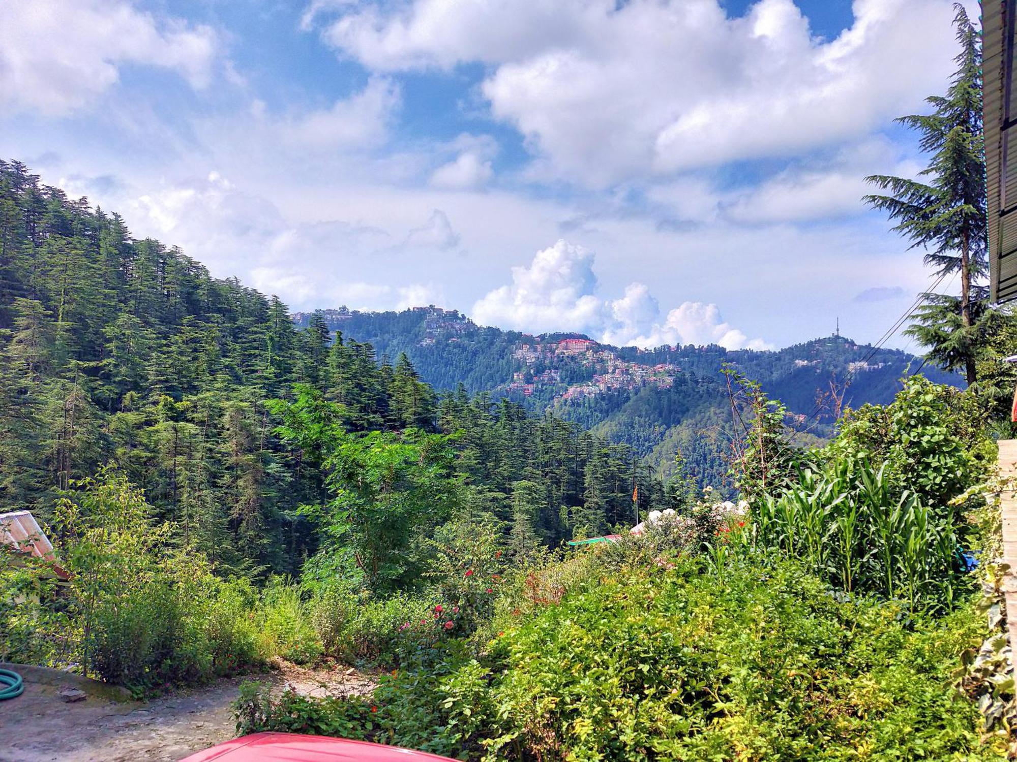 Neha Homestay Shimla Dış mekan fotoğraf
