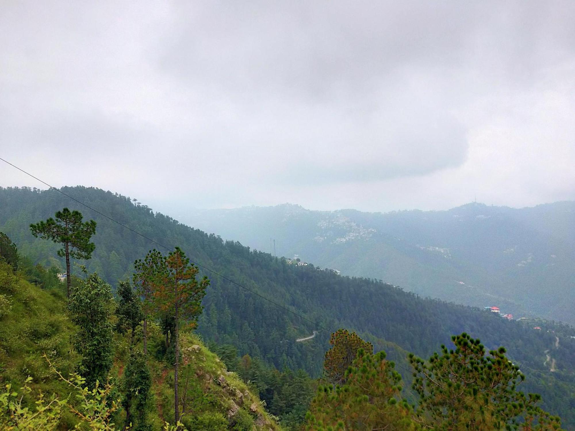 Neha Homestay Shimla Dış mekan fotoğraf