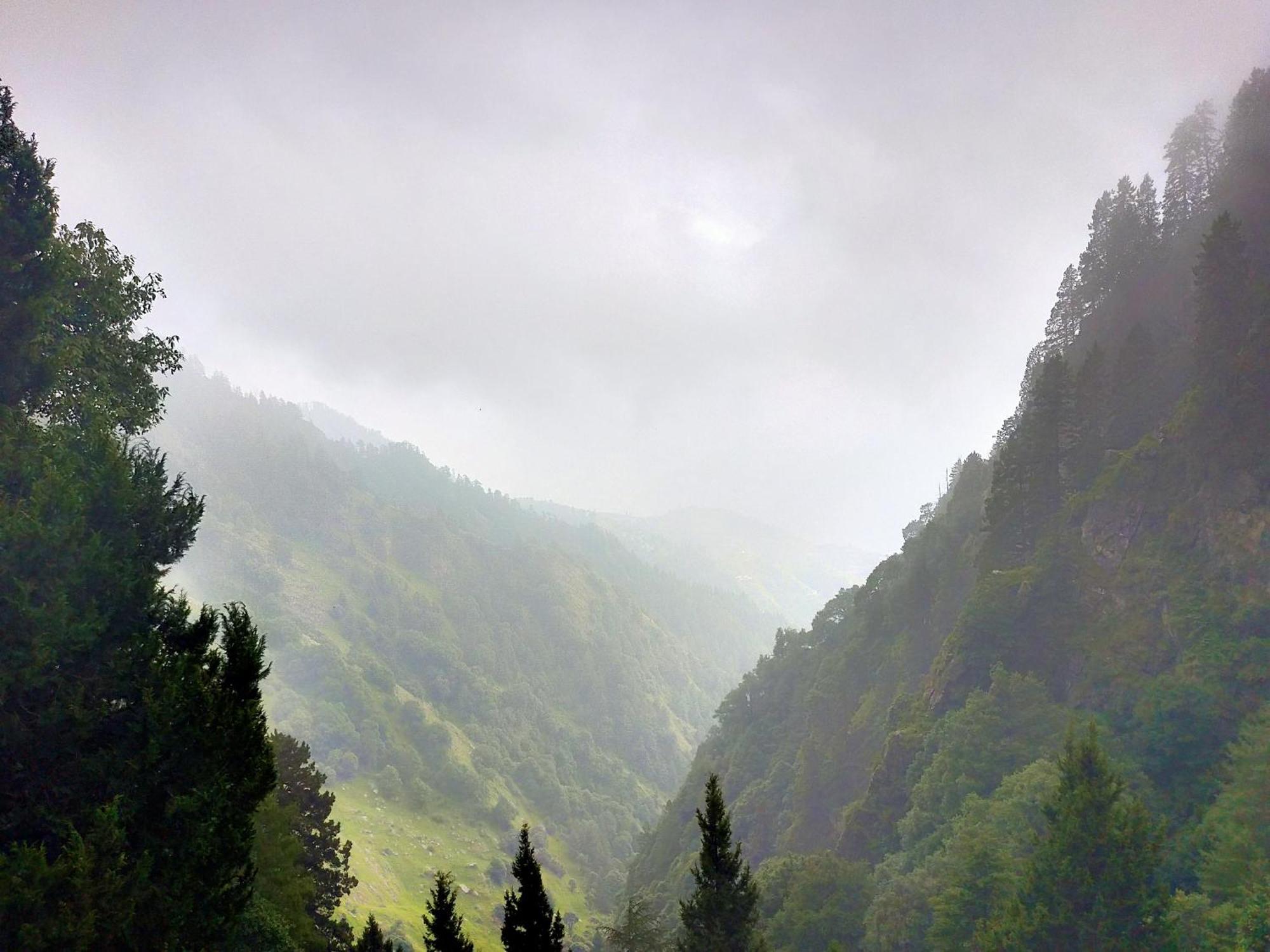 Neha Homestay Shimla Dış mekan fotoğraf