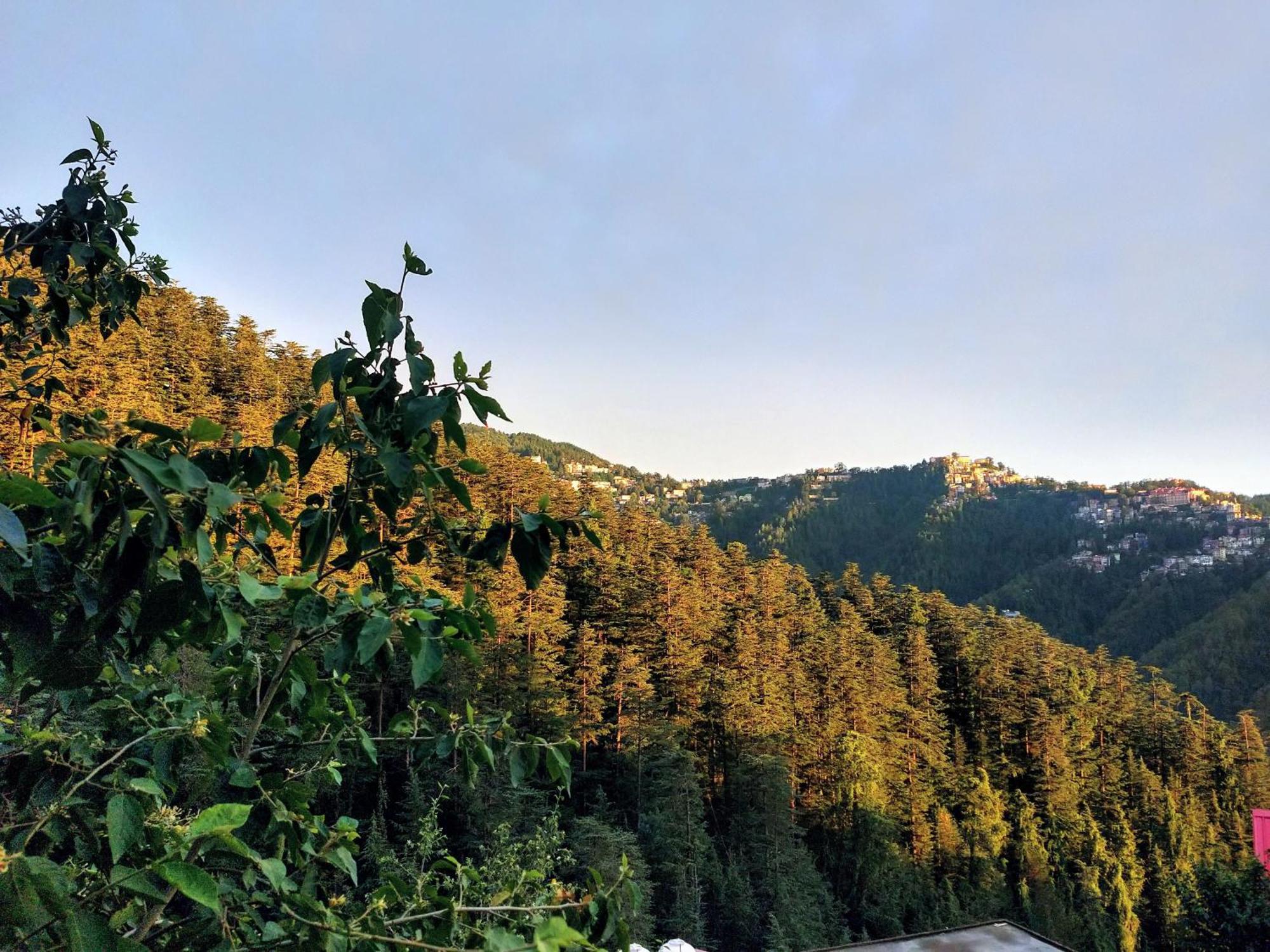 Neha Homestay Shimla Dış mekan fotoğraf